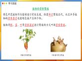 2024-2025學(xué)年濟(jì)南版生物七年級下冊 4.1.1  無性生殖保持了生物遺傳特征的穩(wěn)定 課件