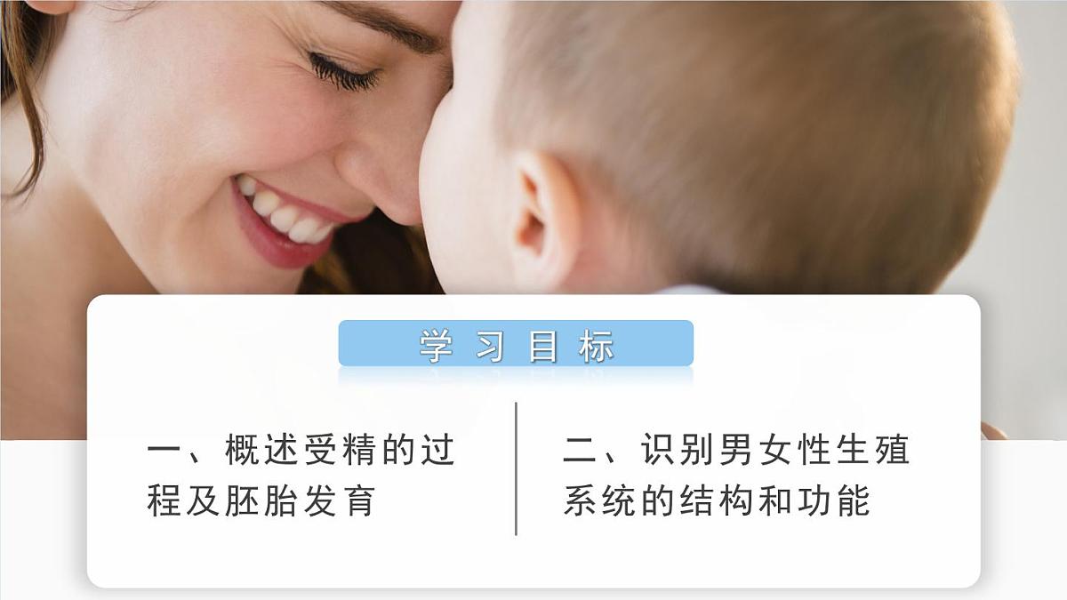 2024-2025学年济南版生物七年级下册 4.2.1  婴儿从受精卵发育而来  课件 (3)第2页