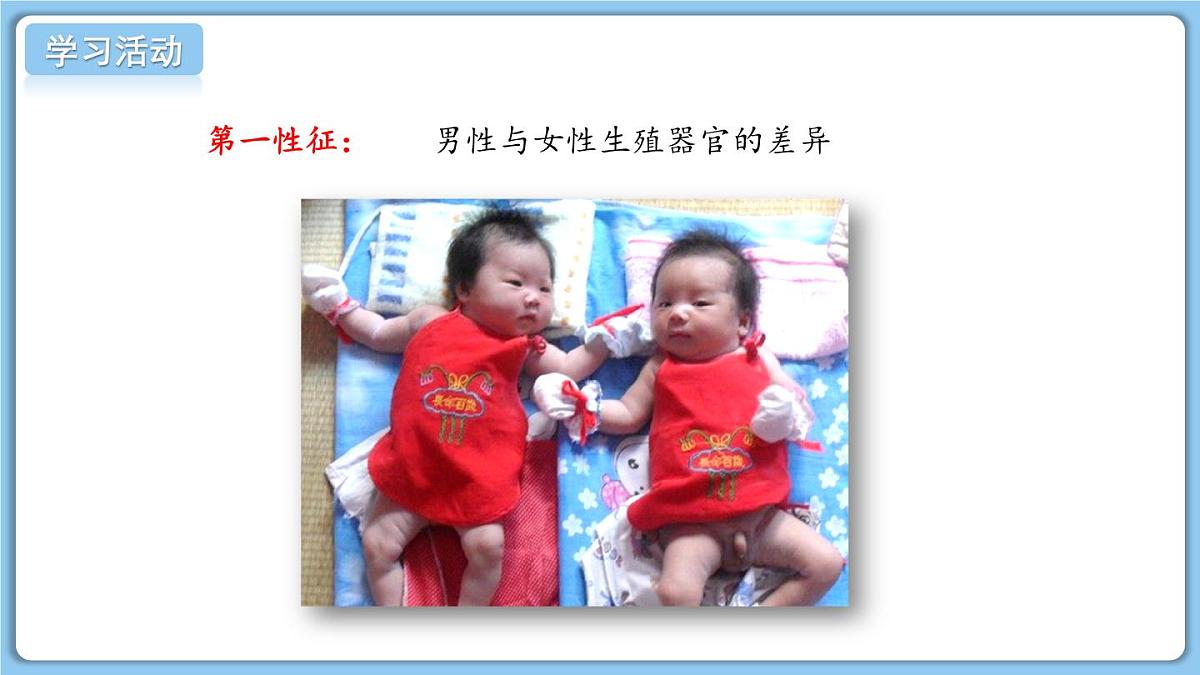 2024-2025学年济南版生物七年级下册 4.2.1  婴儿从受精卵发育而来  课件 (3)第5页