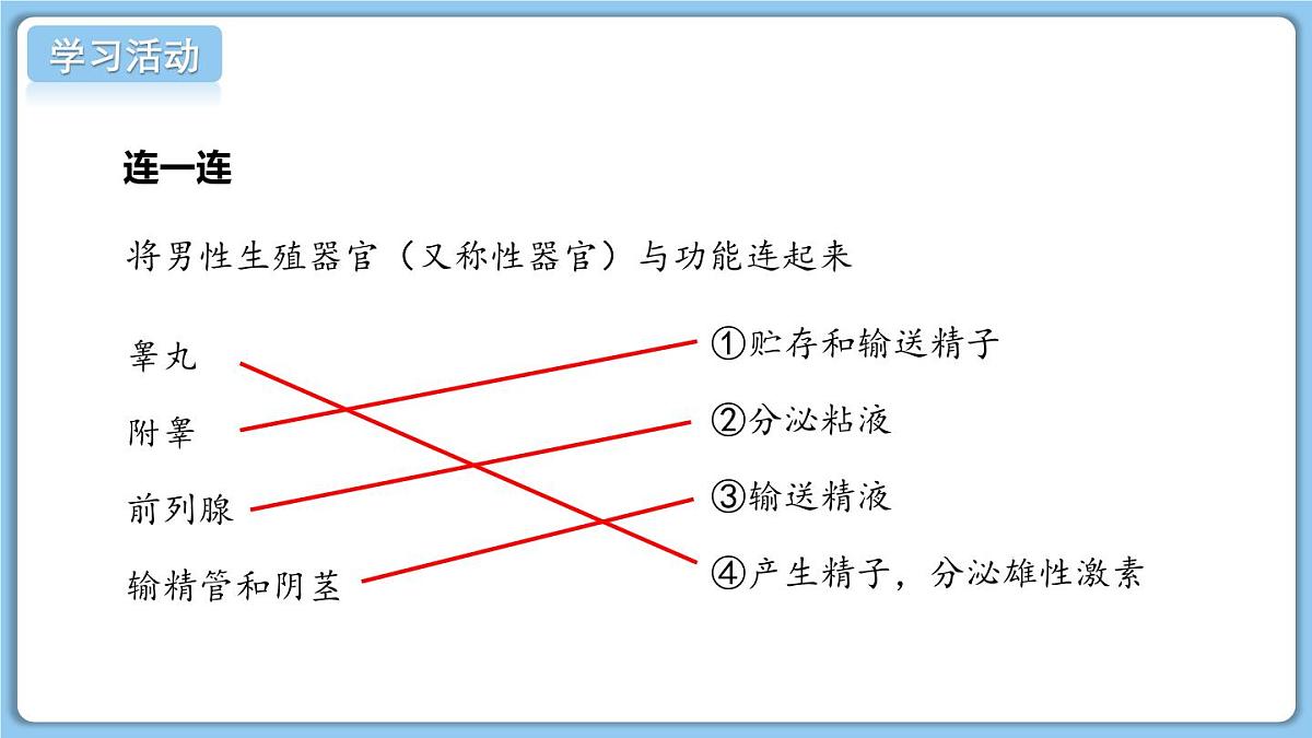 2024-2025学年济南版生物七年级下册 4.2.1  婴儿从受精卵发育而来  课件 (3)第7页
