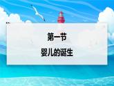 2024-2025學年濟南版生物七年級下冊 4.2.1  嬰兒從受精卵發(fā)育而來  課件