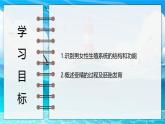 2024-2025學年濟南版生物七年級下冊 4.2.1  嬰兒從受精卵發(fā)育而來  課件