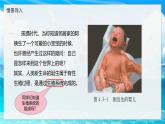 2024-2025學年濟南版生物七年級下冊 4.2.1  嬰兒從受精卵發(fā)育而來  課件