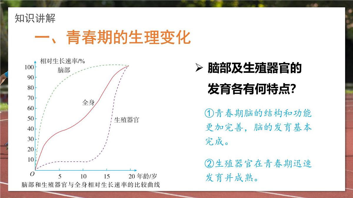 2024-2025学年济南版生物七年级下册 4.2.2  人在青春期出现显著变化  课件第4页