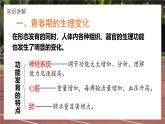 2024-2025學年濟南版生物七年級下冊 4.2.2  人在青春期出現(xiàn)顯著變化  課件