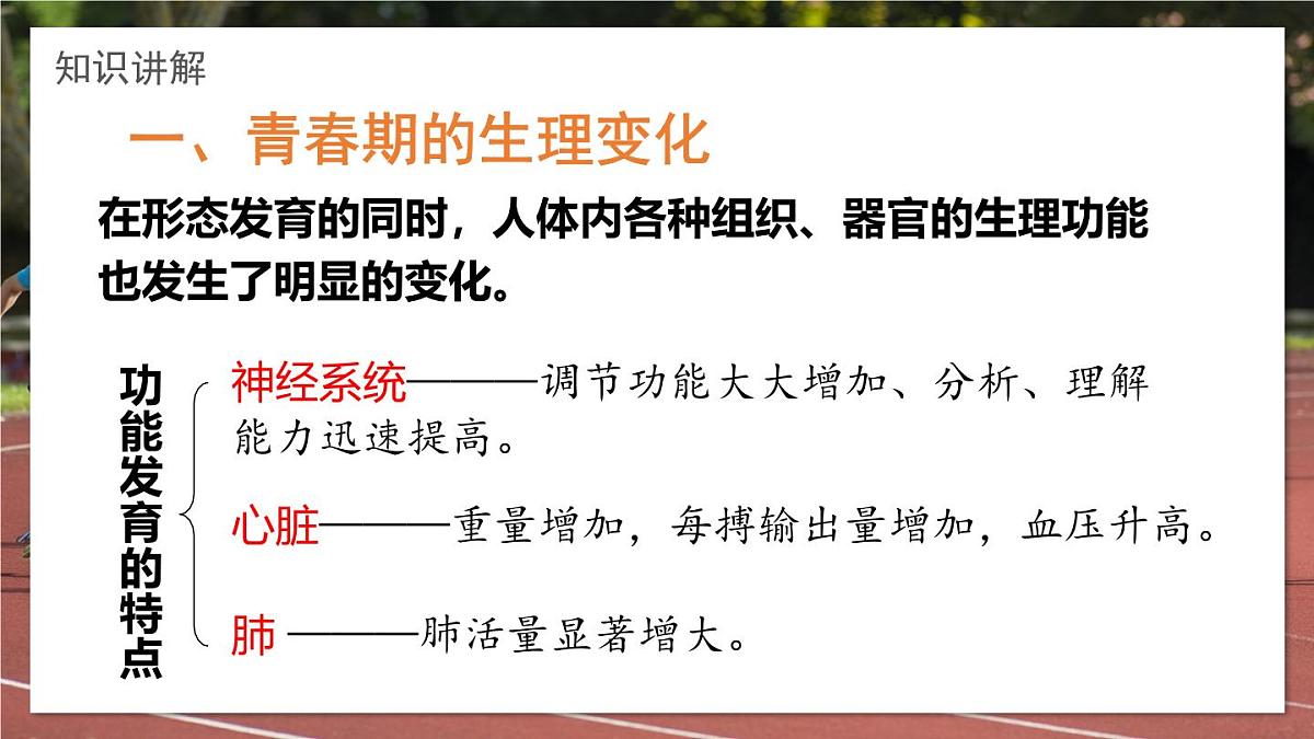 2024-2025学年济南版生物七年级下册 4.2.2  人在青春期出现显著变化  课件第5页