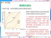 2024-2025學年濟南版生物七年級下冊 4.2.2  人在青春期出現(xiàn)顯著變化 課件 (2)
