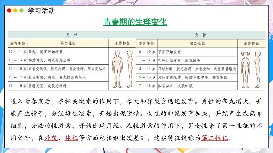 2024-2025学年济南版生物七年级下册 4.2.2 人在青春期出现显著变化 课件 (2)第7页