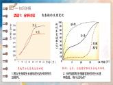 2024-2025學年濟南版生物七年級下冊 4.2.2  人在青春期出現(xiàn)顯著變化 課件