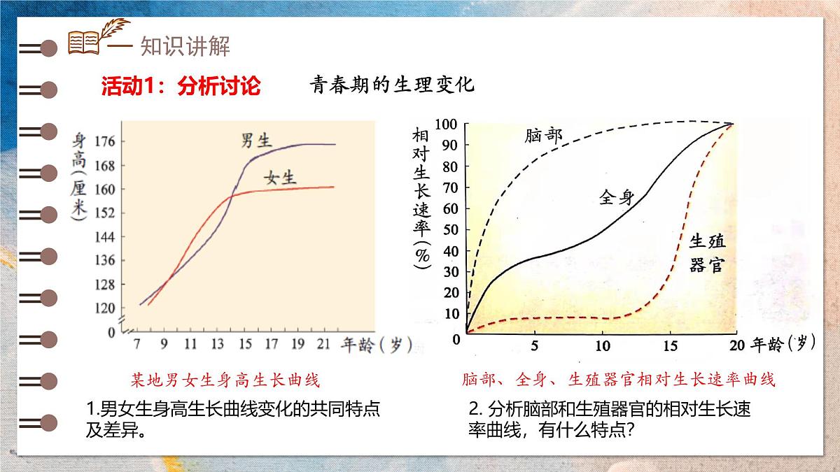 2024-2025学年济南版生物七年级下册 4.2.2  人在青春期出现显著变化 课件第5页
