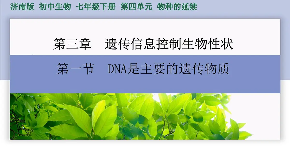 2024-2025学年济南版生物七年级下册 4.3.1DNA是主要的遗传物质（课件）第1页