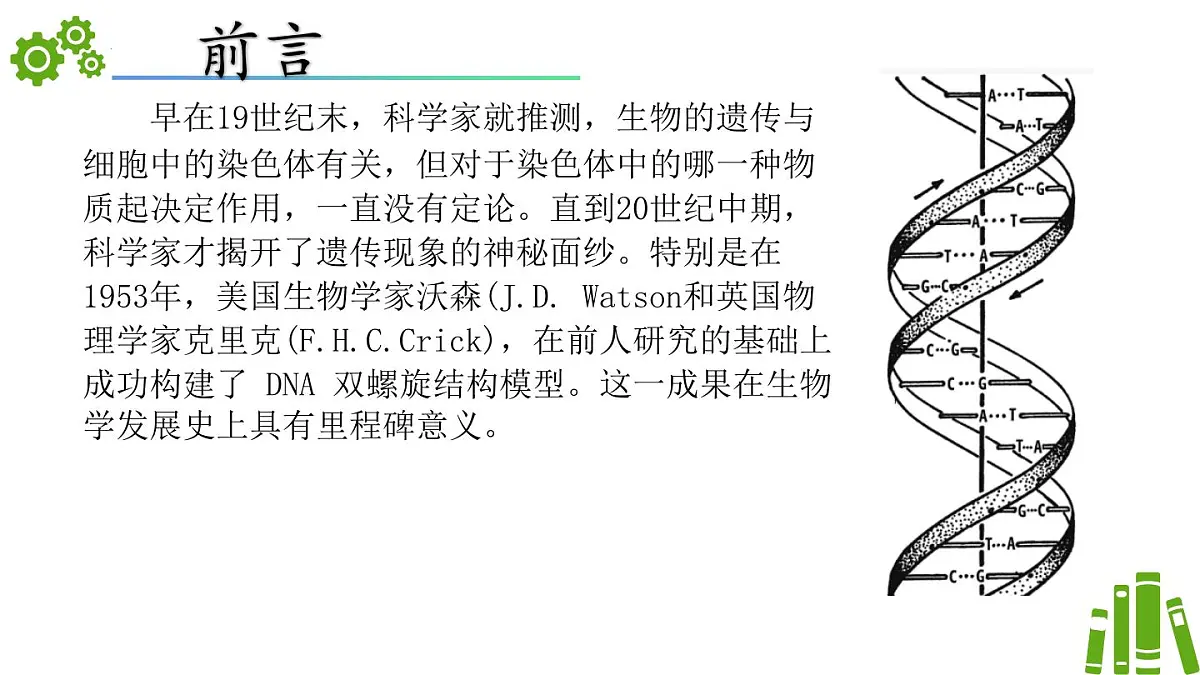 2024-2025学年济南版生物七年级下册 4.3.1DNA是主要的遗传物质（课件）第2页