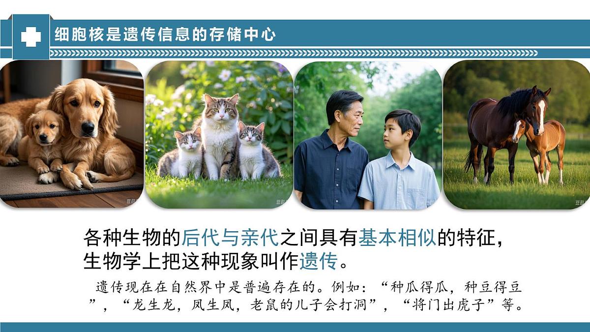 2024-2025学年济南版生物七年级下册 4.3.1DNA是主要的遗传物质课件第4页