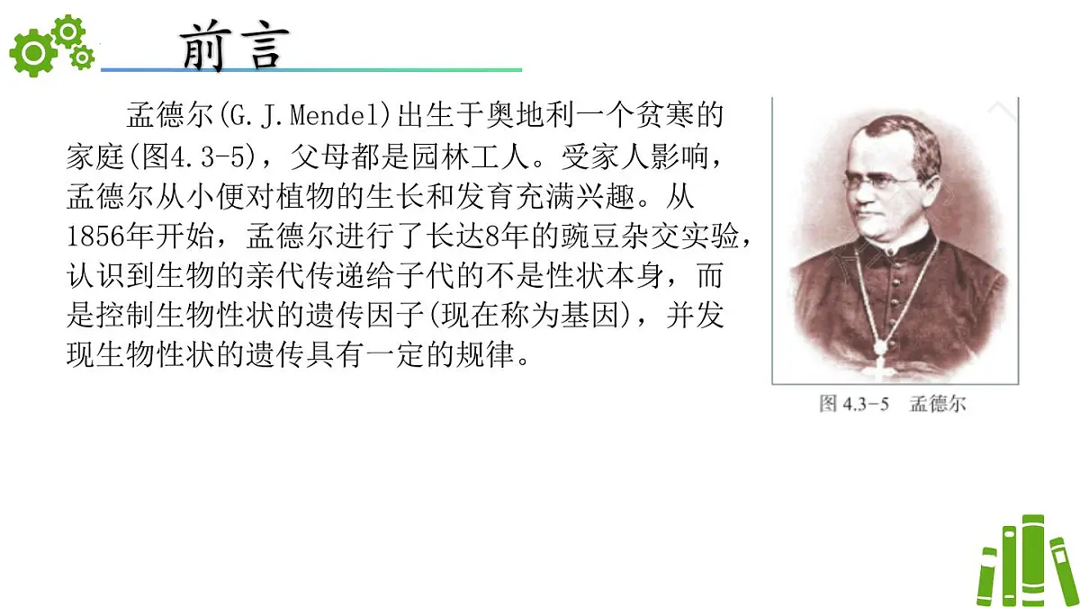 2024-2025学年济南版生物七年级下册 4.3.2生物的性状主要由基因决定（课件）第2页