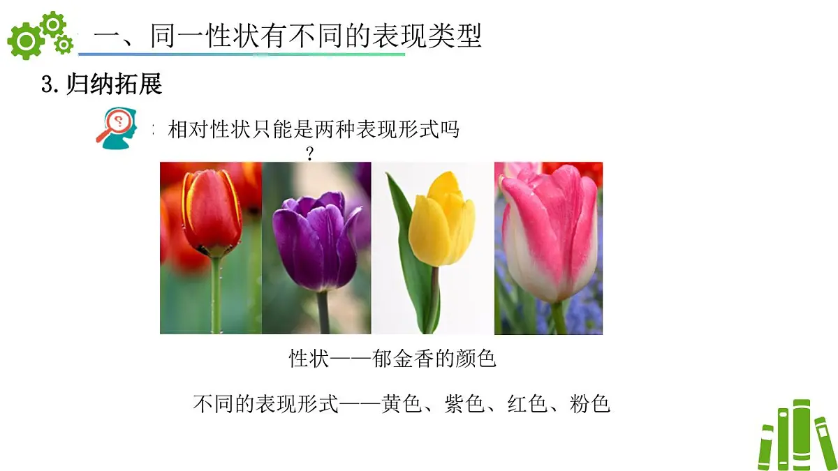 2024-2025学年济南版生物七年级下册 4.3.2生物的性状主要由基因决定（课件）第7页