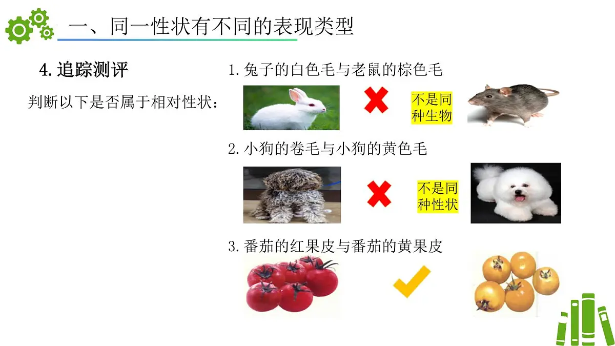 2024-2025学年济南版生物七年级下册 4.3.2生物的性状主要由基因决定（课件）第8页