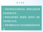 2024-2025學(xué)年濟(jì)南版生物七年級下冊 4.3.2生物的性狀主要由基因決定課件