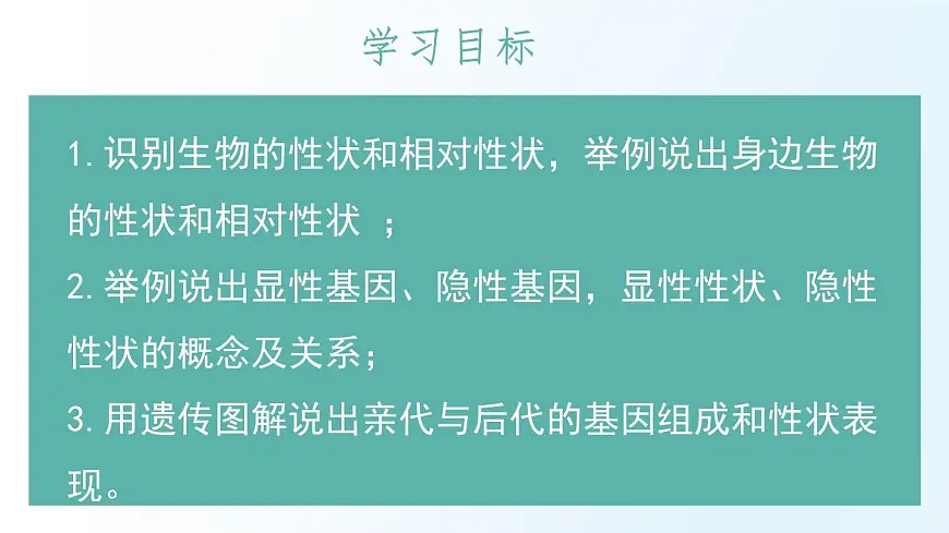 2024-2025学年济南版生物七年级下册 4.3.2生物的性状主要由基因决定课件第3页