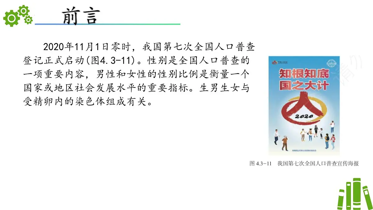2024-2025学年济南版生物七年级下册 4.3.3性染色体决定人的性别（课件）第2页