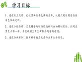 2024-2025學(xué)年濟(jì)南版生物七年級下冊 4.3.3性染色體決定人的性別（課件）