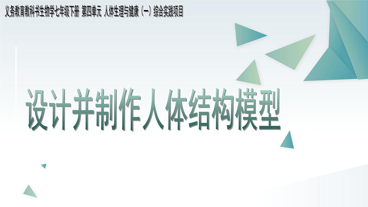 综合实践项目+设计并制作人体结构模型（单元任务驱动课件）2025学年七年级生物下册人教版第1页
