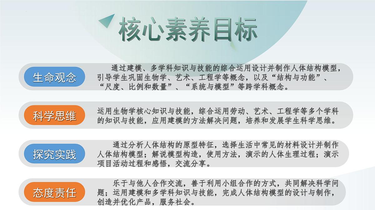 综合实践项目+设计并制作人体结构模型（单元任务驱动课件）2025学年七年级生物下册人教版第3页