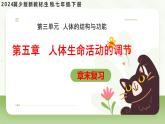 第五章 人體生命活動(dòng)的調(diào)節(jié)（章末復(fù)習(xí)課件）2025學(xué)年七年級(jí)生物下冊(cè)冀少版