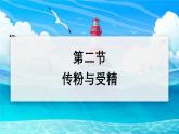 2024-2025學(xué)年濟南版生物七年級下冊 3.2.2 花經(jīng)過傳粉與受精后形成果實 課件