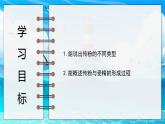 2024-2025學(xué)年濟南版生物七年級下冊 3.2.2 花經(jīng)過傳粉與受精后形成果實 課件