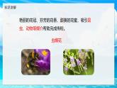2024-2025學(xué)年濟南版生物七年級下冊 3.2.2 花經(jīng)過傳粉與受精后形成果實 課件