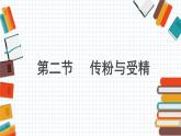 2024-2025學(xué)年濟南版生物七年級下冊 3.2.2 花經(jīng)過傳粉與受精后形成果實 課件 (2)