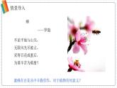 2024-2025學(xué)年濟南版生物七年級下冊 3.2.2 花經(jīng)過傳粉與受精后形成果實 課件 (2)