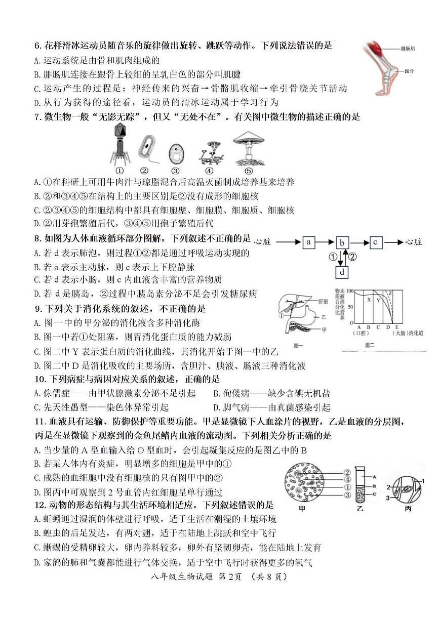 2024年济南市槐荫区中考生物二模试题和答案第2页