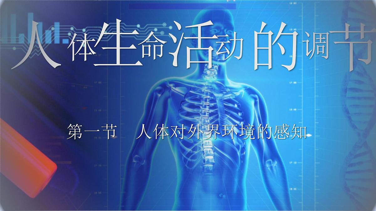 4.6.1人体对外界环境的感知课件2024-2025学年人教版生物八年级上册第1页