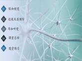 4.6.1人體對外界環(huán)境的感知課件2024-2025學年人教版生物八年級上冊