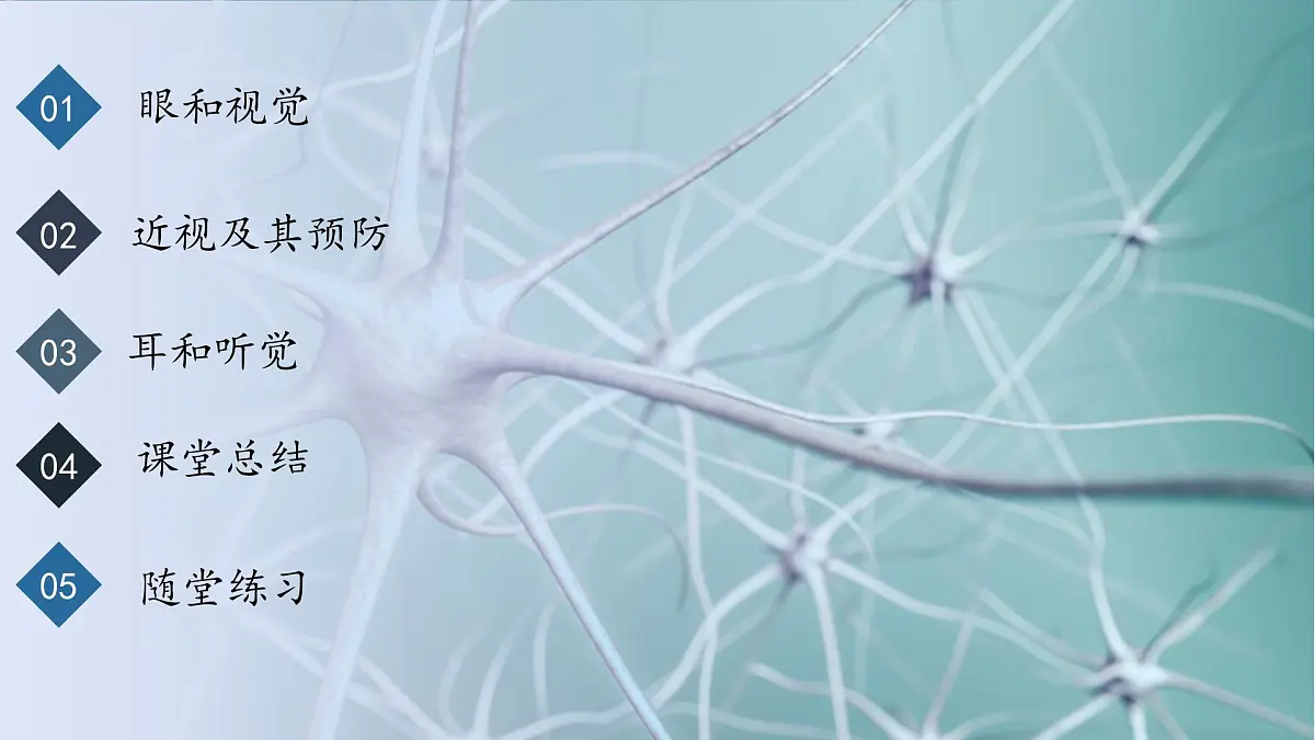 4.6.1人体对外界环境的感知课件2024-2025学年人教版生物八年级上册第2页
