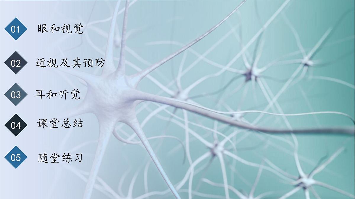 4.6.1人体对外界环境的感知课件2024-2025学年人教版生物八年级上册第2页