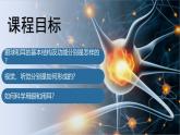 4.6.1人體對外界環(huán)境的感知課件2024-2025學年人教版生物八年級上冊