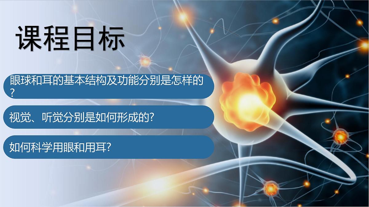 4.6.1人体对外界环境的感知课件2024-2025学年人教版生物八年级上册第3页