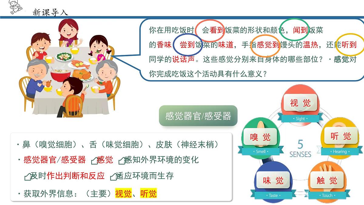4.6.1人体对外界环境的感知课件2024-2025学年人教版生物八年级上册第5页
