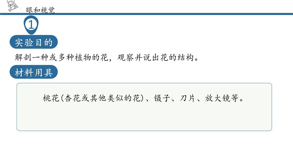 4.6.1人体对外界环境的感知课件2024-2025学年人教版生物八年级上册第7页