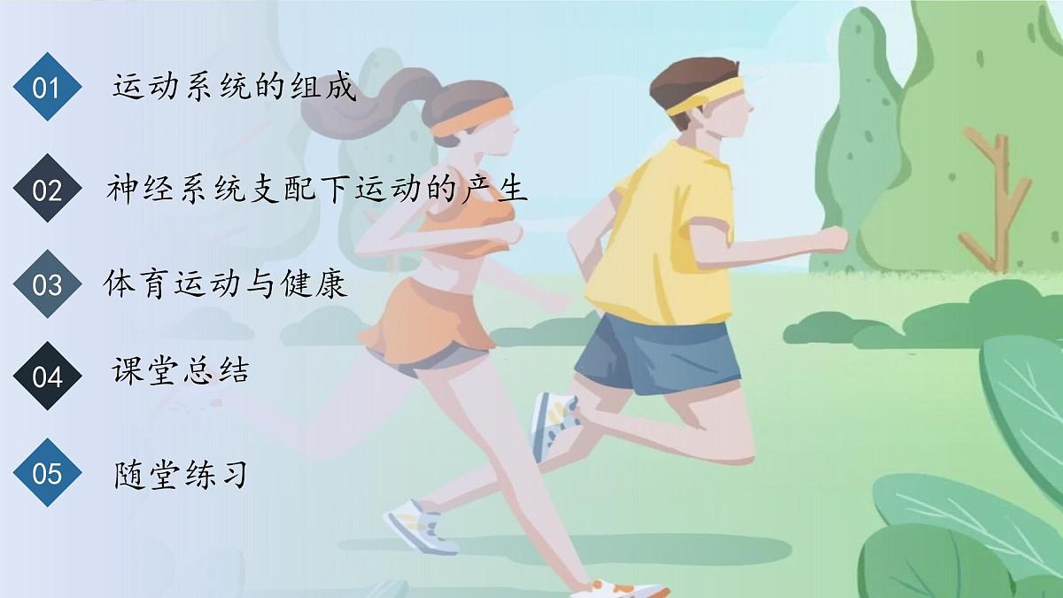4.6.3神经系统支配下的运动课件2024-2025学年人教版生物八年级上册第2页