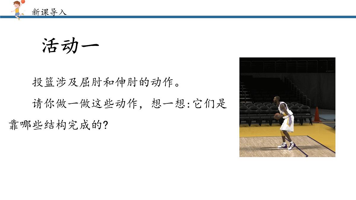 4.6.3神经系统支配下的运动课件2024-2025学年人教版生物八年级上册第4页
