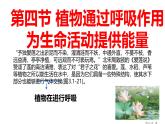 初中生物濟南版（2024）七年級下冊3.1.4  植物通過呼吸作用為生命活動提供能量 課件
