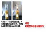 初中生物濟南版（2024）七年級下冊3.1.4  植物通過呼吸作用為生命活動提供能量 課件