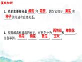 初中生物濟南版（2024）七年級下冊3.2.2  花經(jīng)過傳粉和受精后形成果實第一課時 課件