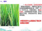 初中生物濟南版（2024）七年級下冊3.2.2  花經(jīng)過傳粉和受精后形成果實第一課時 課件
