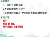 初中生物濟(jì)南版（2024）七年級下冊3.2.3  種子萌發(fā)需要適宜的條件第一課時 課件