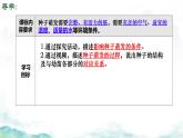 初中生物濟(jì)南版（2024）七年級下冊3.2.3  種子萌發(fā)需要適宜的條件第二課時 課件