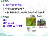 初中生物濟(jì)南版（2024）七年級下冊3.2.3  種子萌發(fā)需要適宜的條件第二課時 課件